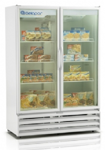 Freezer vertical