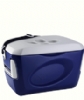Caixa trmica 24Lts